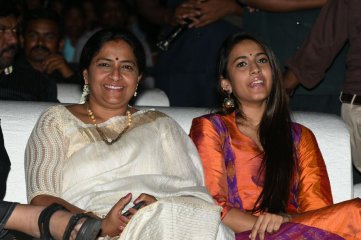 Mister Movie Pre Release Function